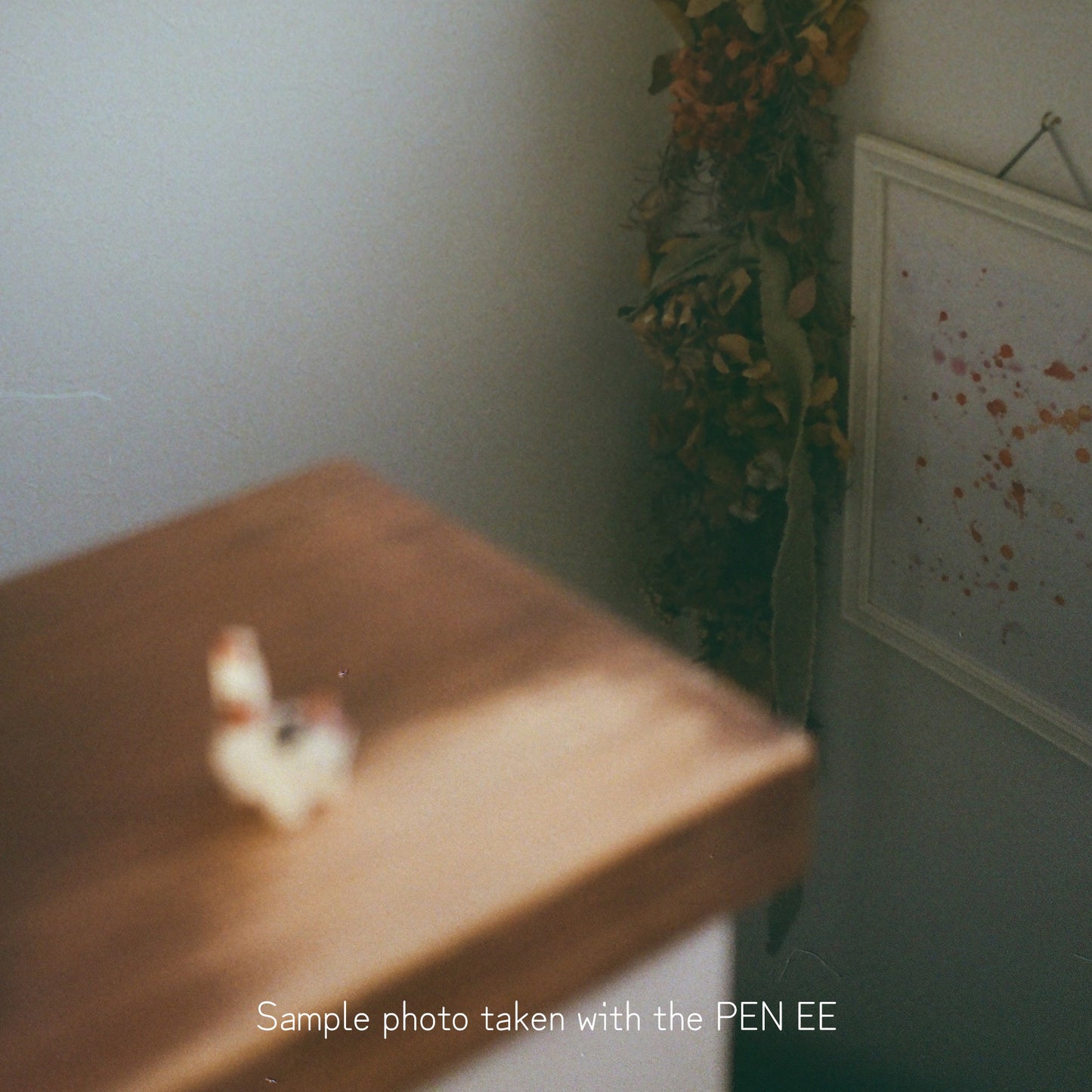 [ Good ] Olympus PEN EE-3