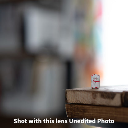 [ Mint ] SONY E 50mm F1.8 OSS SEL50F18