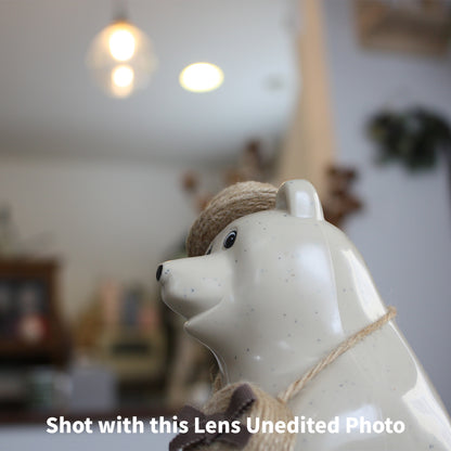 [ Near Mint ] Canon EF-S 18-55mm f/3.5-5.6 IS STM