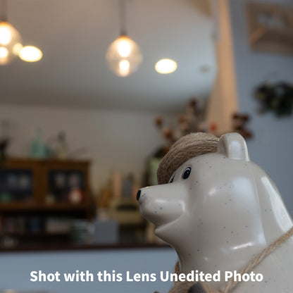 [ Excellent +5 ] SONY E. PZ 16-50mm F3.5-5.6 OSS SELP1650