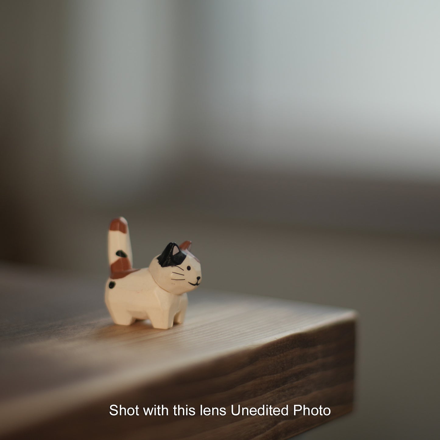 [ Excellent +5 ] PENTAX SMC PENTAX 50mm F1.4 K mount