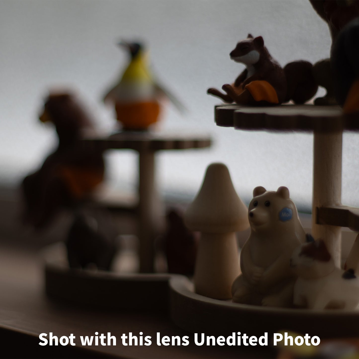 [ Bargain ] Pentax M42 Super Takumar 50mm F1.4