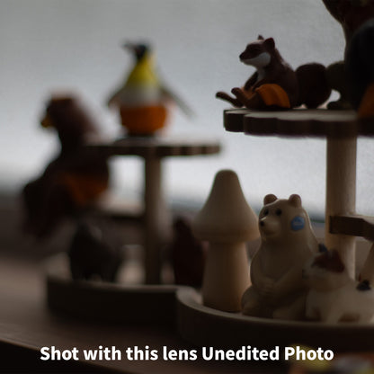[ Bargain ] Pentax M42 Super Takumar 50mm F1.4