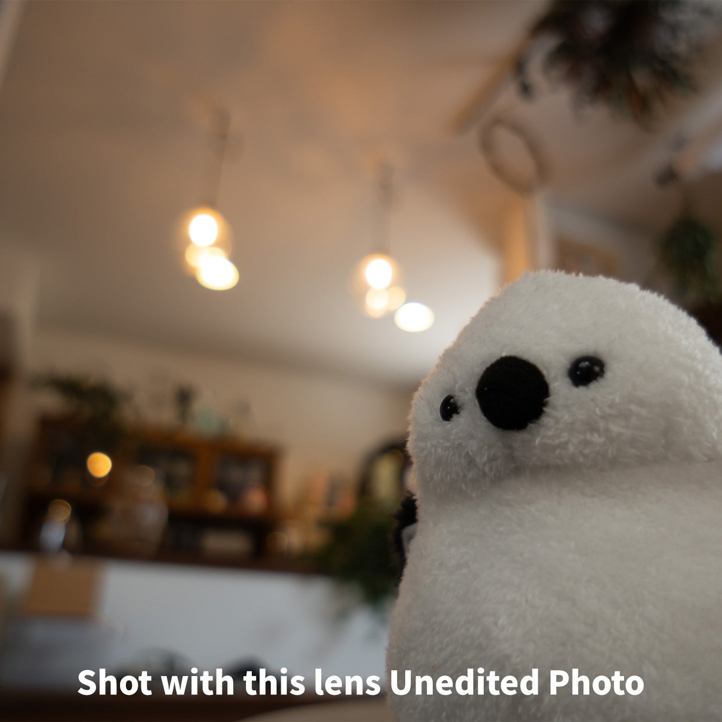 [ Excellent ] SONY E 16mm F2.8 SEL16F28