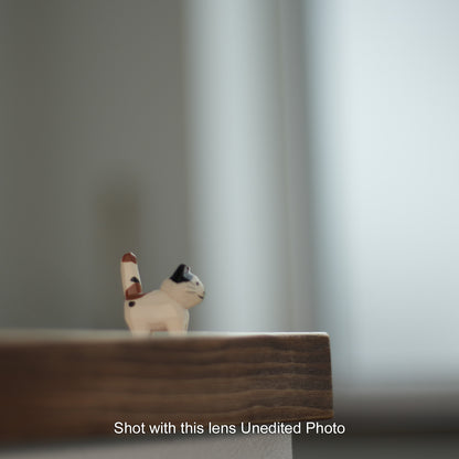 [ Excellent ] PENTAX SMC PENTAX-M 50mm F1.7 K mount