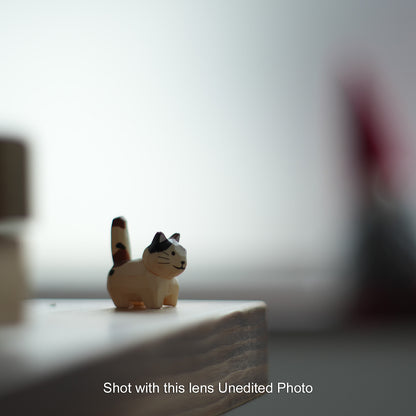 [ Bargain ] MINOLTA  MD ROKKOR 50mm F1.7