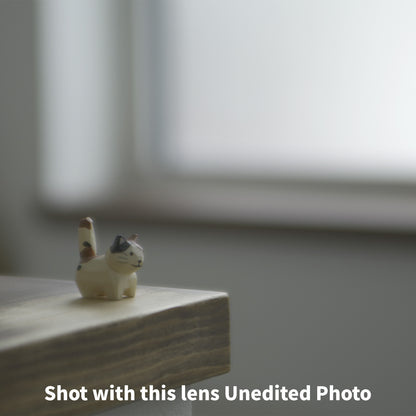 [ Excellent ] Tokina AT-X PRO 28-70mm F2.8 F mount