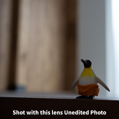 [ Bargain ] SONY FE 28-70mm F3.5-5.6 OSS SEL2870