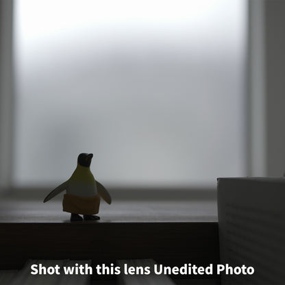 [ Near Mint ] SONY FE 24-50mm F2.8 G SEL2450G