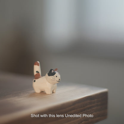 [ Bargain ] PENTAX SMC PENTAX-M 50mm F1.4 K mount
