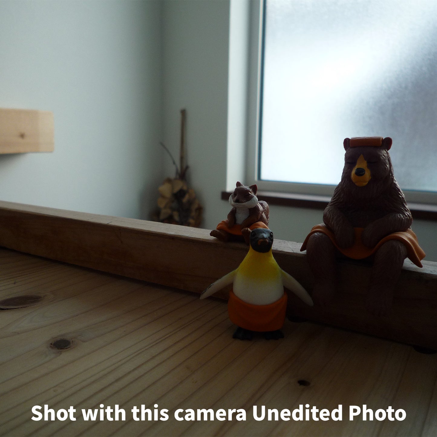 [ Near Mint ] Panasonic LUMIX DMC-FX35