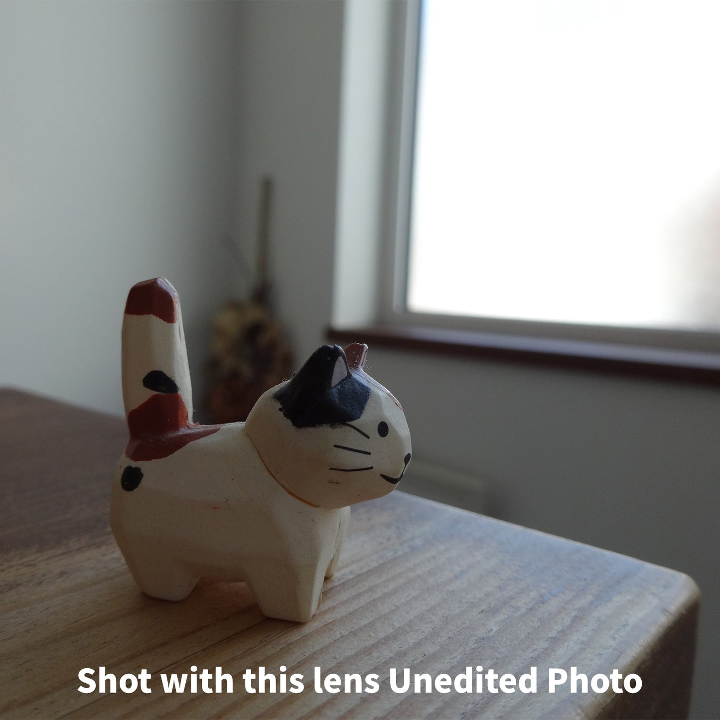 [ Near Mint ] SONY Cybershot DSC-WX300