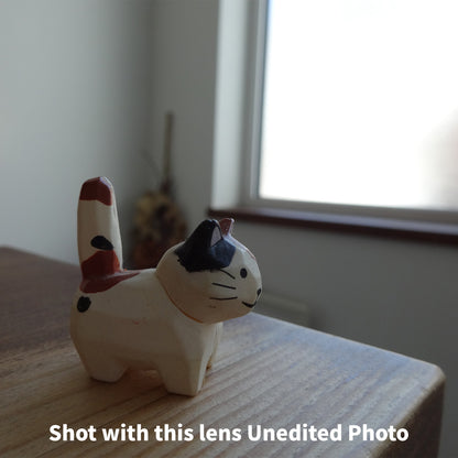 [ Near Mint ] SONY Cybershot DSC-WX300