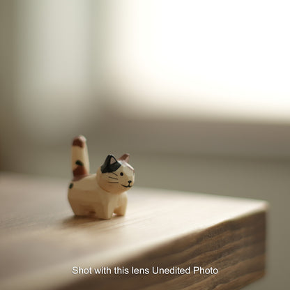 [ Excellent +5 ] Pentax M42 Super Takumar 50mm F1.4