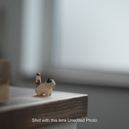 [ Bargain ] MINOLTA  MC ROKKOR-PF 55mm F1.7