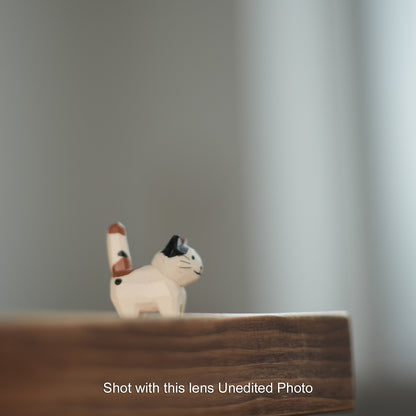 [ Bargain ] Canon FD 50mm F1.4 S.S.C.