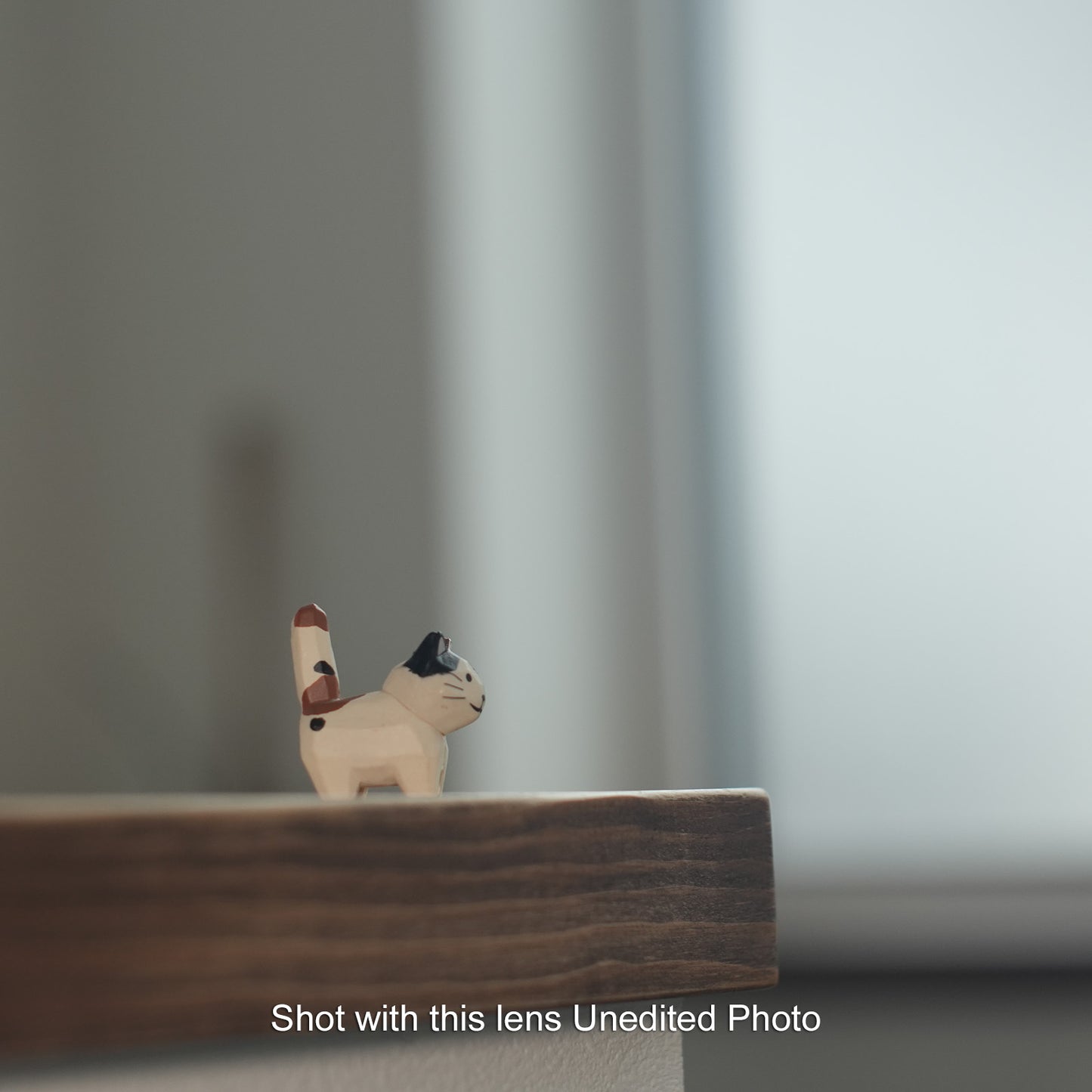 [ Excellent +5 ] PENTAX SMC PENTAX 50mm F1.4 K mount