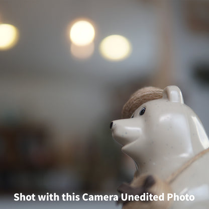 [ Excellent ] SONY a6500