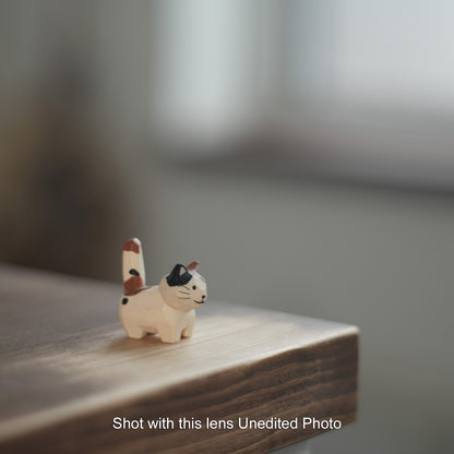 [ Excellent +5 ] PENTAX SMC PENTAX 55mm F1.8 K mount