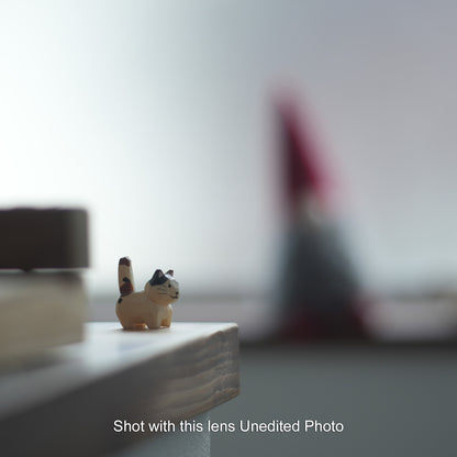 [ Bargain ] MINOLTA  MC ROKKOR-PF 50mm F1.7