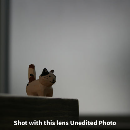 [ Bargain ] Canon EF-S 18-55mm F3.5-5.6 IS II STM