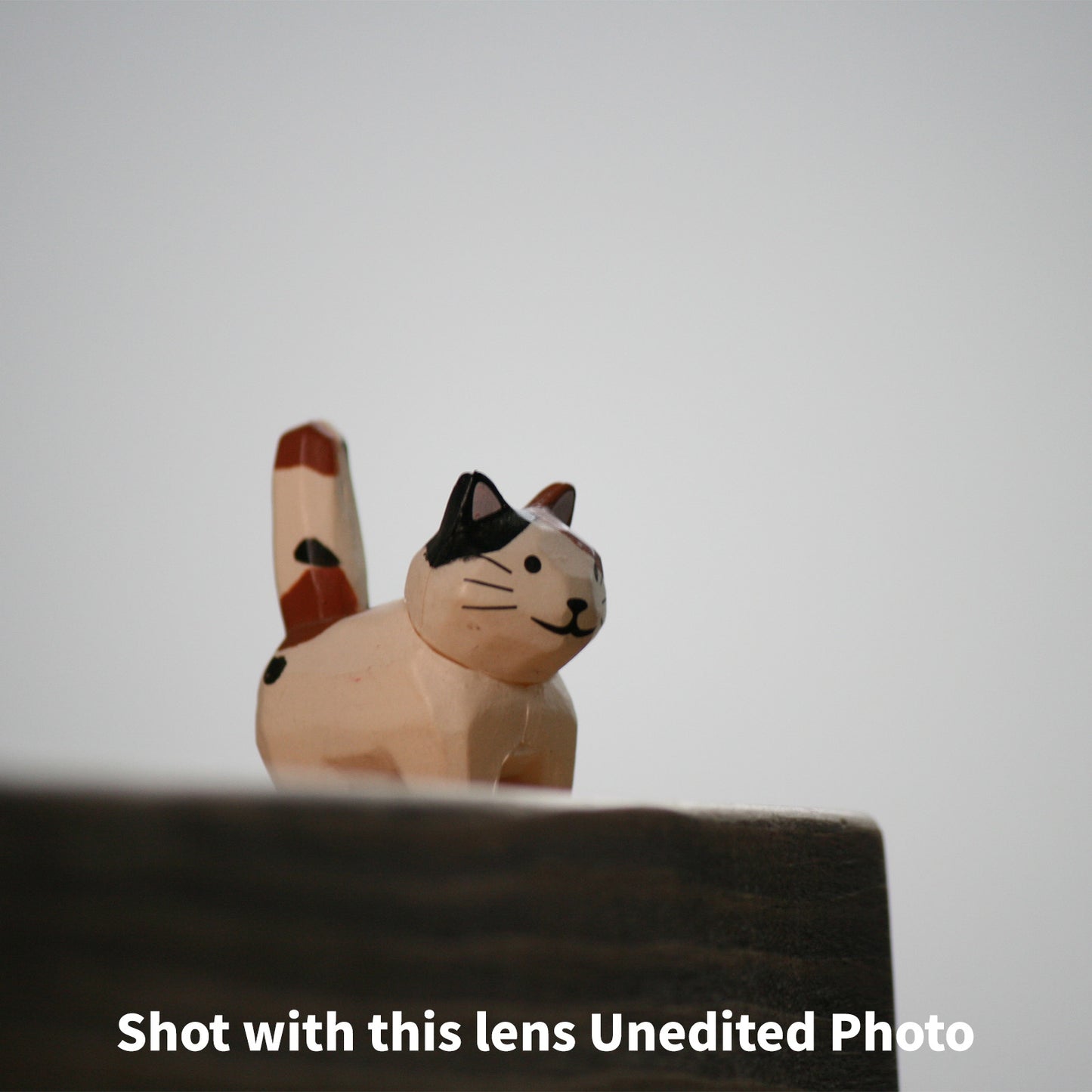 [ Excellent ] CANON EF-S 55-250mm F4-5.6 IS