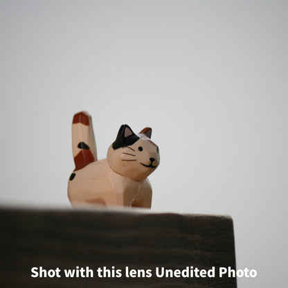 [ Excellent ] CANON EF-S 55-250mm F4-5.6 IS