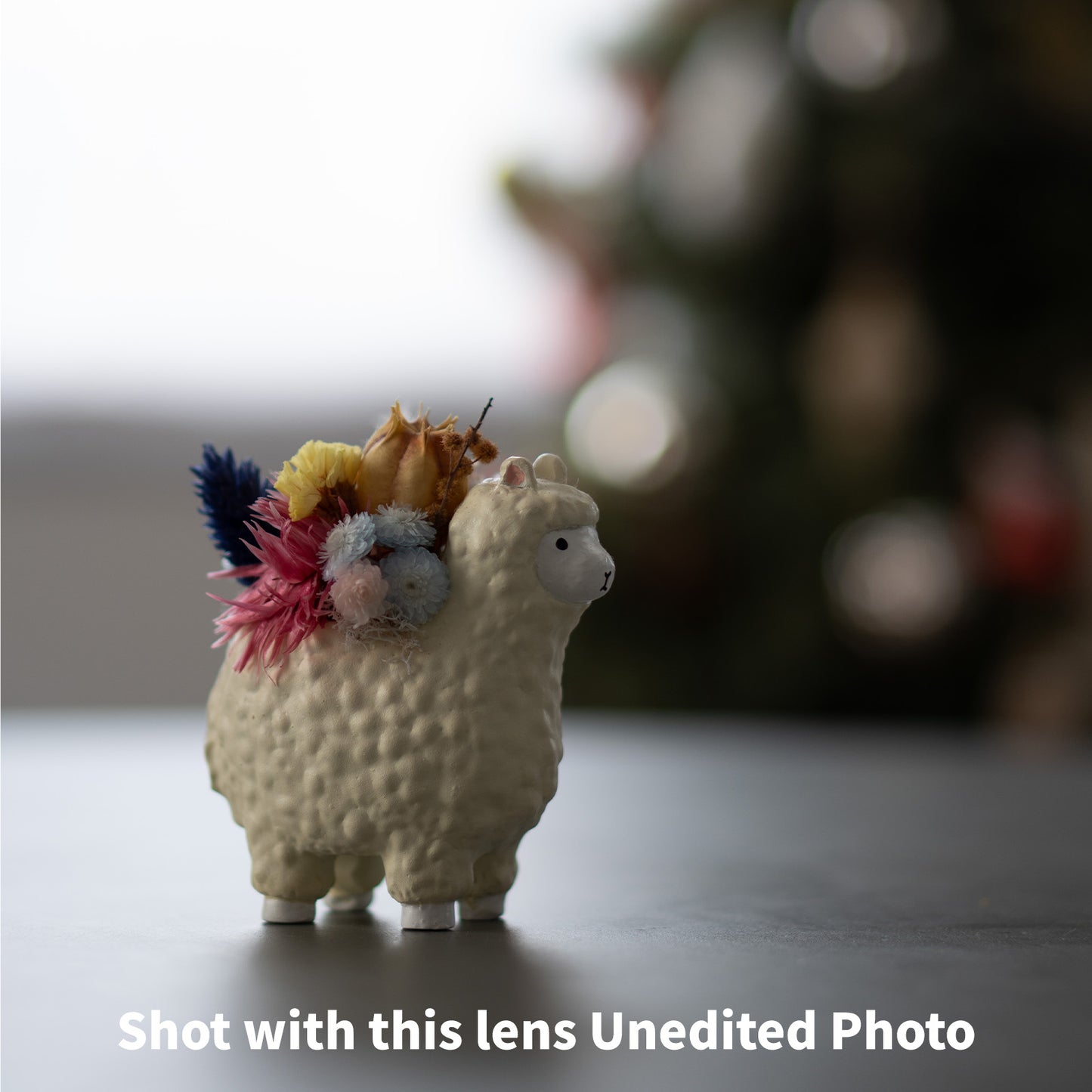 [ Mint ] SONY E 50mm F1.8 OSS SEL50F18