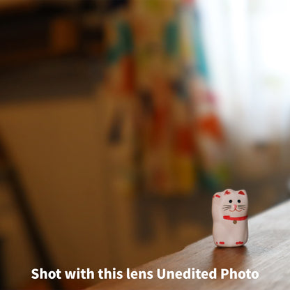 [ Near Mint ] Canon EF-M 15-45mm F3.5-6.3 IS STM