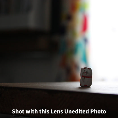 [ Near Mint ] Canon EF-S 18-55mm f/3.5-5.6 IS STM