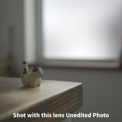 [ Good ] Canon FD 24mm F2.8 S.S.C