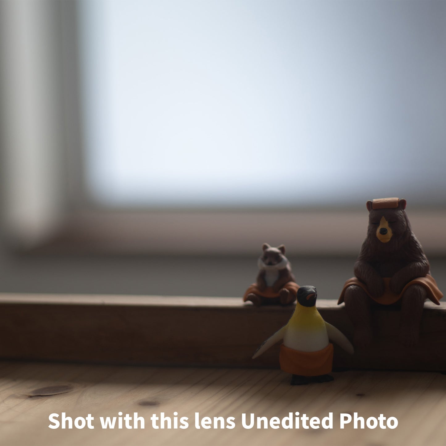 [ Bargain ] Canon FL 50mm F1.8