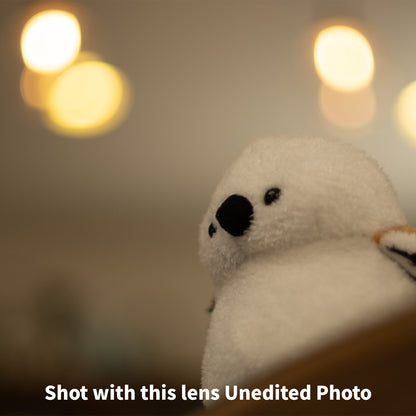 [ Excellent +5 ] Canon FD 50mm F1.4 S.S.C.