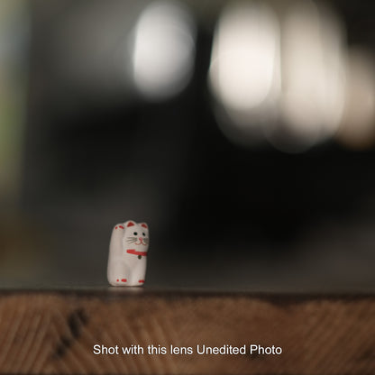 [ Bargain ] Helios 44-2 58mm F2 M42