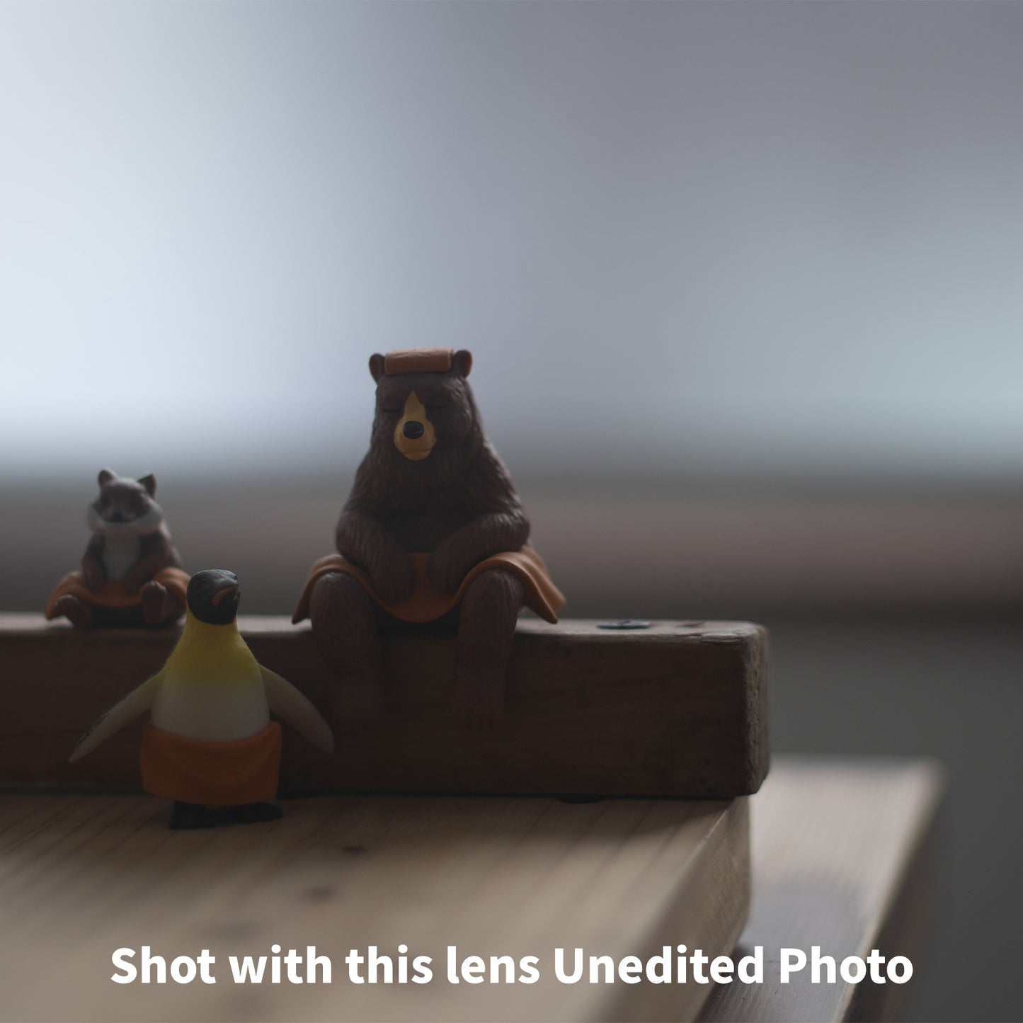 [ Bargain ] Canon FL 50mm F1.8