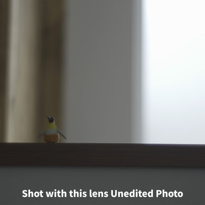 [ Excellent ] Helios Jupiter-8 50mm F2