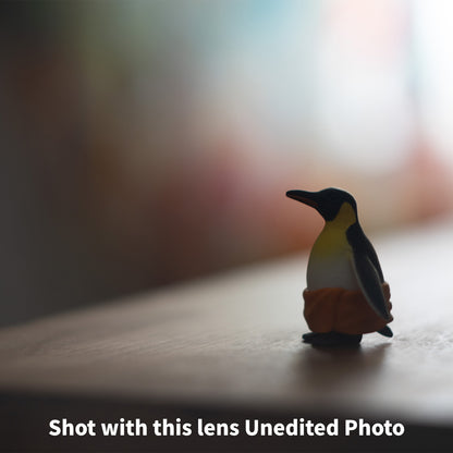 [ Bargain ] Helios 44-2 58mm F2 M42