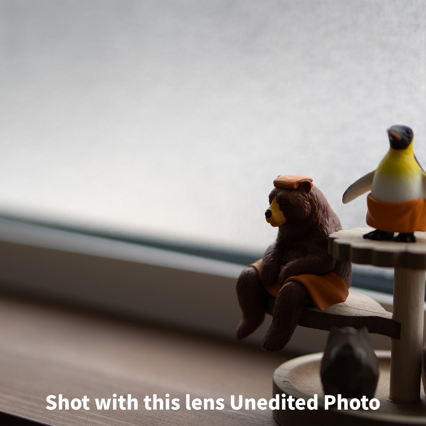 [ Mint ] SONY E 50mm F1.8 OSS SEL50F18