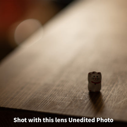 [ Excellent +5 ] Canon FD 50mm F1.4 S.S.C.