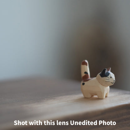 [ Bargain ] Helios 44-2 58mm F2 M42
