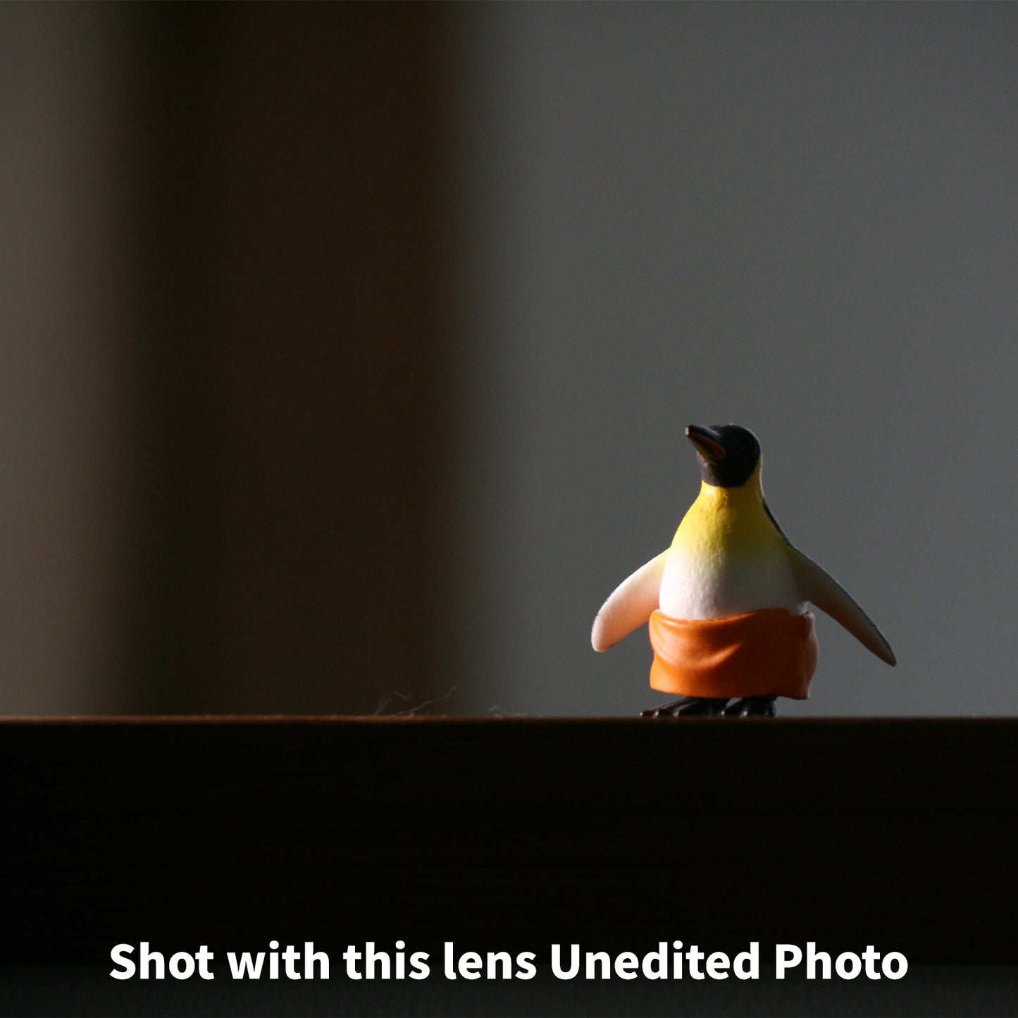 [ Excellent ] CANON EF-S 55-250mm F4-5.6 IS