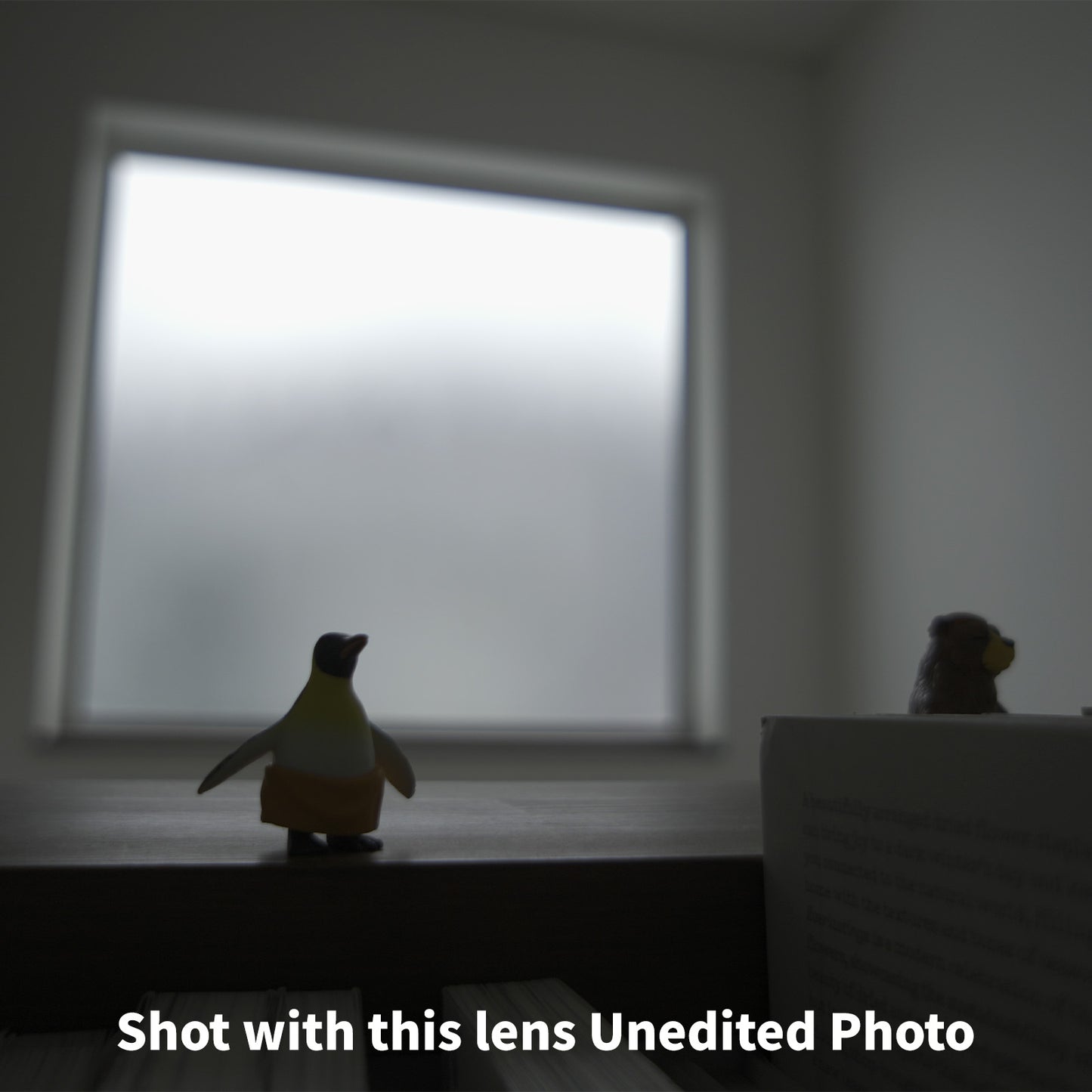 [ Near Mint ] SONY E 16mm F2.8 SEL16F28