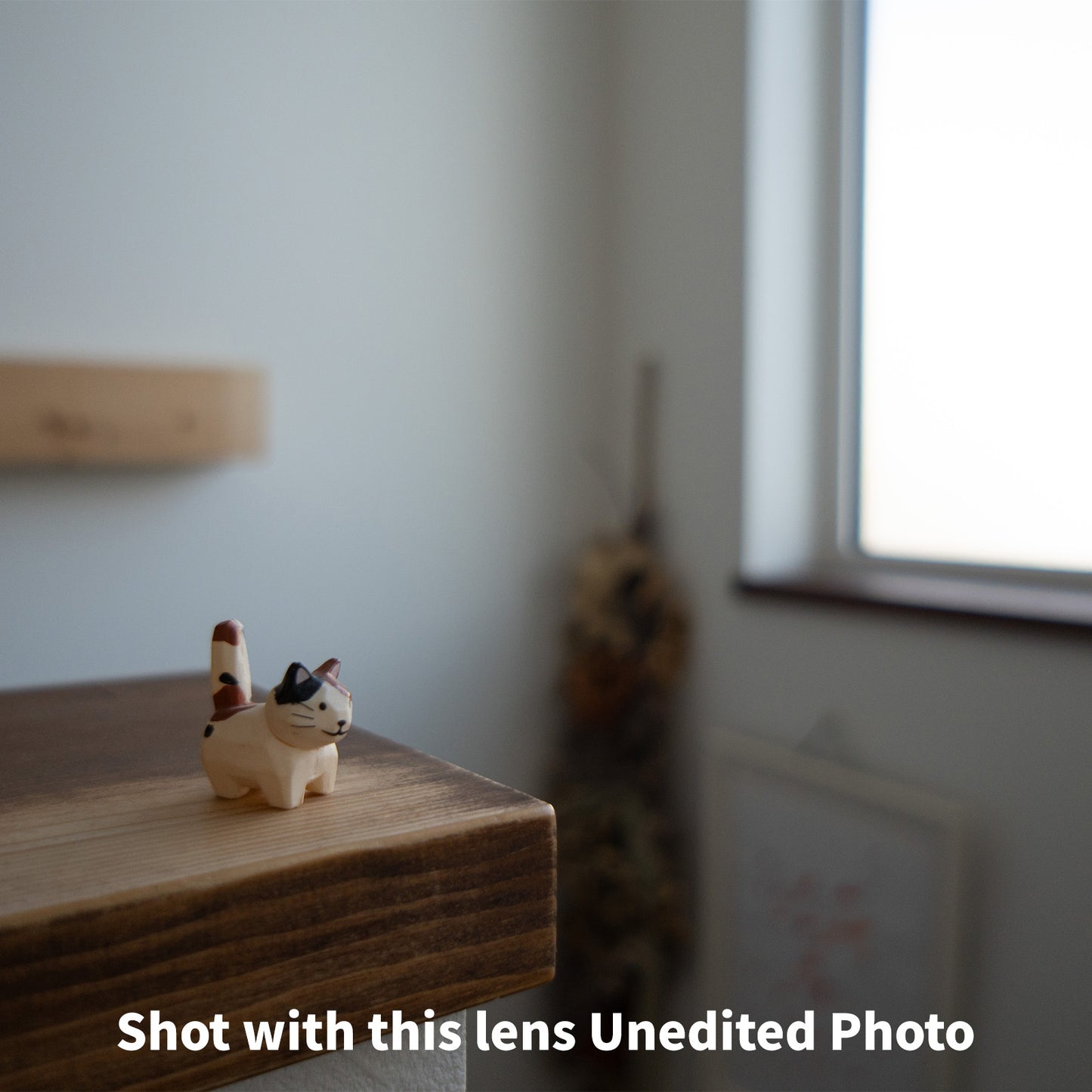 [ Mint ] SONY E 16mm F2.8 SEL16F28