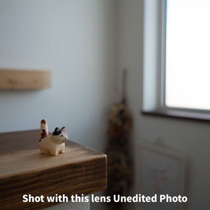 [ Mint ] SONY E 16mm F2.8 SEL16F28