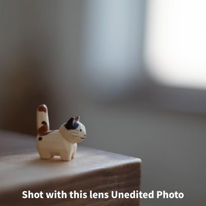 [ Good ] Pentax M42 Super Takumar 50mm F1.4