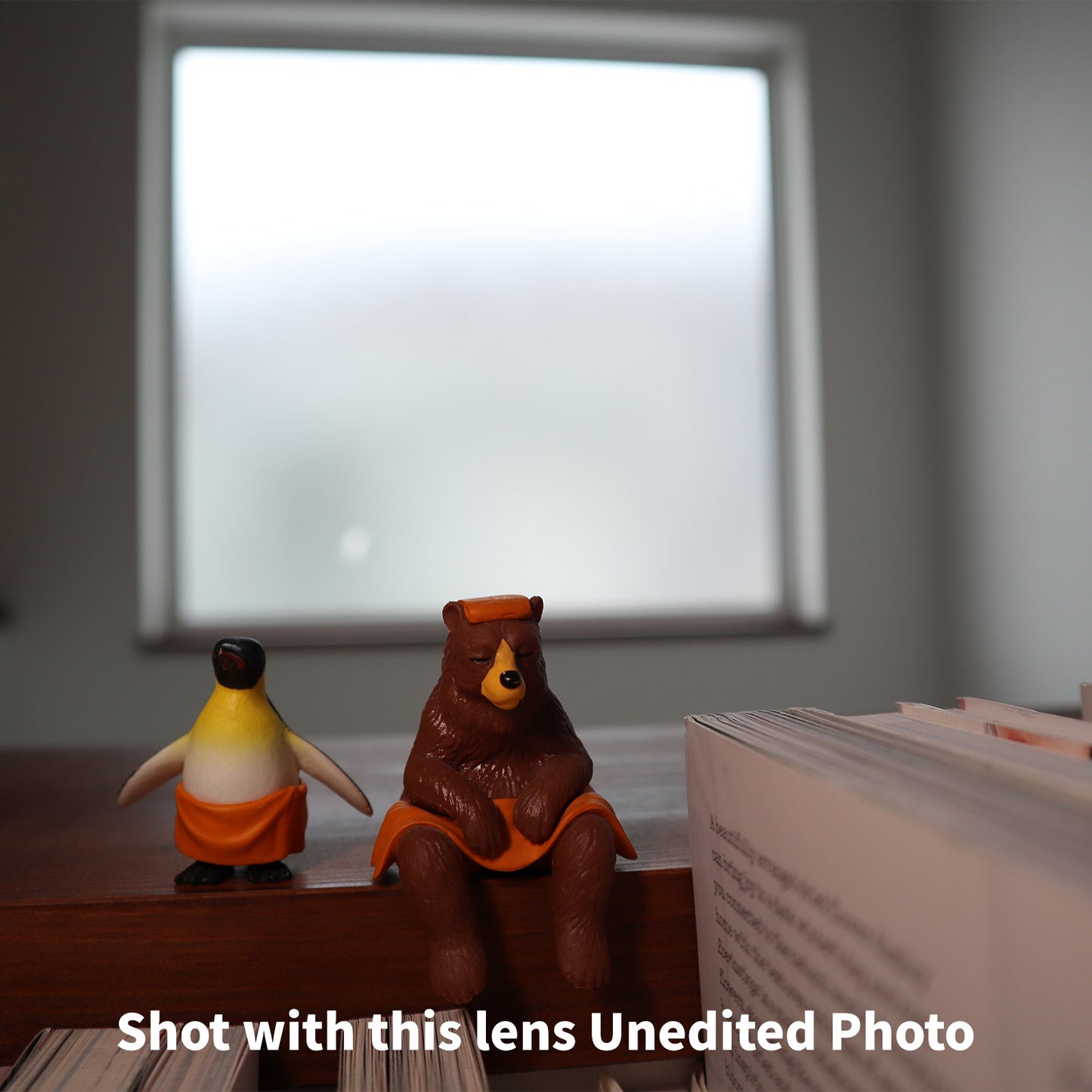 [ Near Mint ] Canon EF-M 15-45mm F3.5-6.3 IS STM