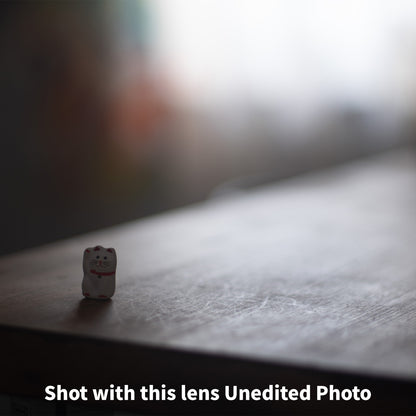 [ Bargain ] Canon FL 50mm F1.8