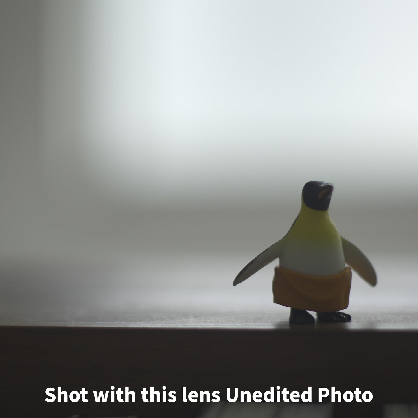 [ Bargain ] Canon FD 50mm F1.4 S.S.C.