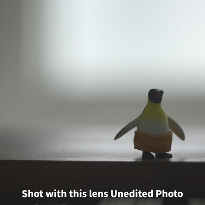 [ Bargain ] Canon FD 50mm F1.4 S.S.C.