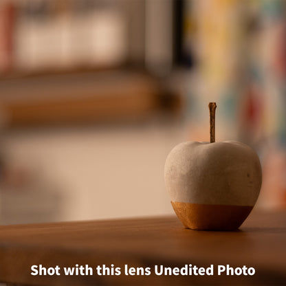 [ Bargain ] CONTAX Carl Zeiss Planar T* 50mm F1.7 AEJ